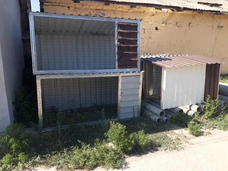 Parandalar ucgun maxsus kataklar 1 Parandalar ucgun maxsus kataklar 1