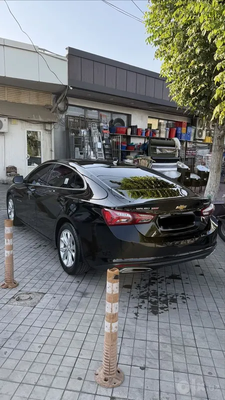 Malibu 2 premier kraskasi tozza 7 Malibu 2 premier kraskasi tozza 7