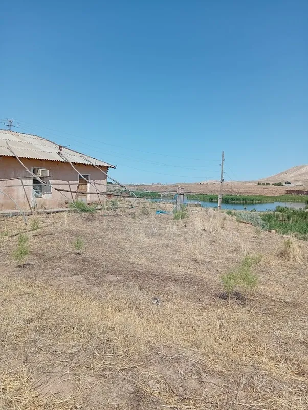 Сотилали уй Пачкамарда Кишлокда Булакодир 2 Сотилали уй Пачкамарда Кишлокда Булакодир 2