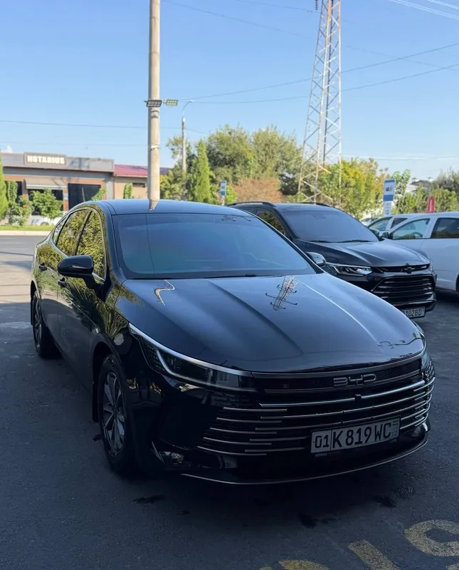 Byd Chazor hybrid 55luxe 1