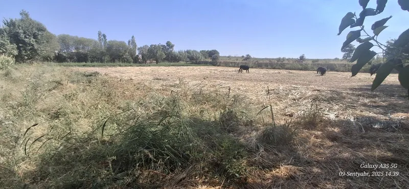Уй сотаман томарқали — фото 3