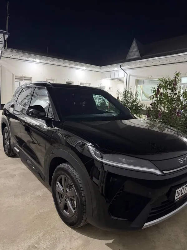 Byd yuan up 2026 1 Byd yuan up 2026 1