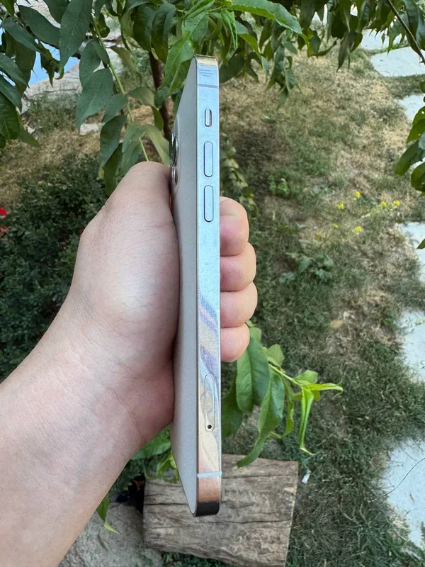 Pro 3