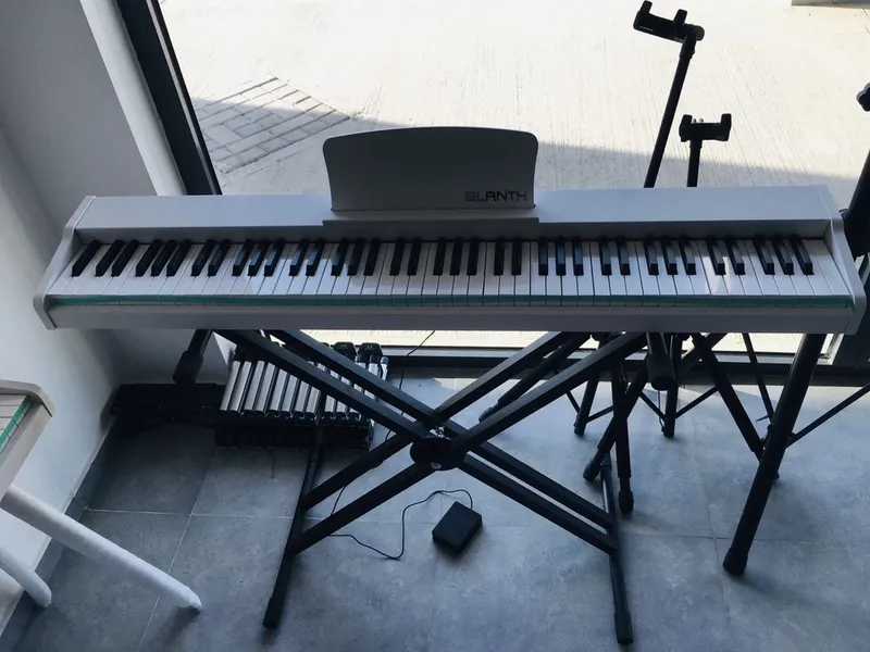 Pianina BLANTH original DIGITAL PIANO. — фото 4