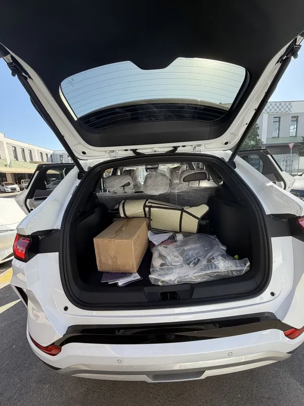 Byd Song Plus Champion smart — фото 3