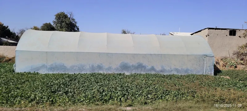 Issiq xona sotiladi — фото 1