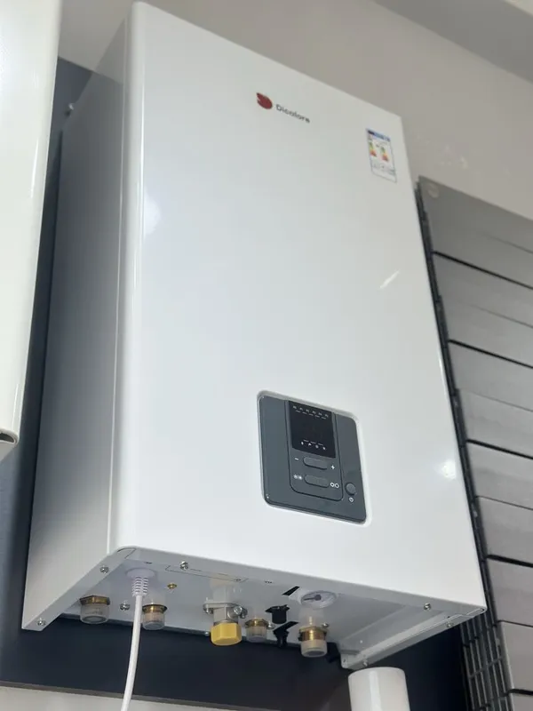 Dicalore газовые котлы Dicalore газовые котлы