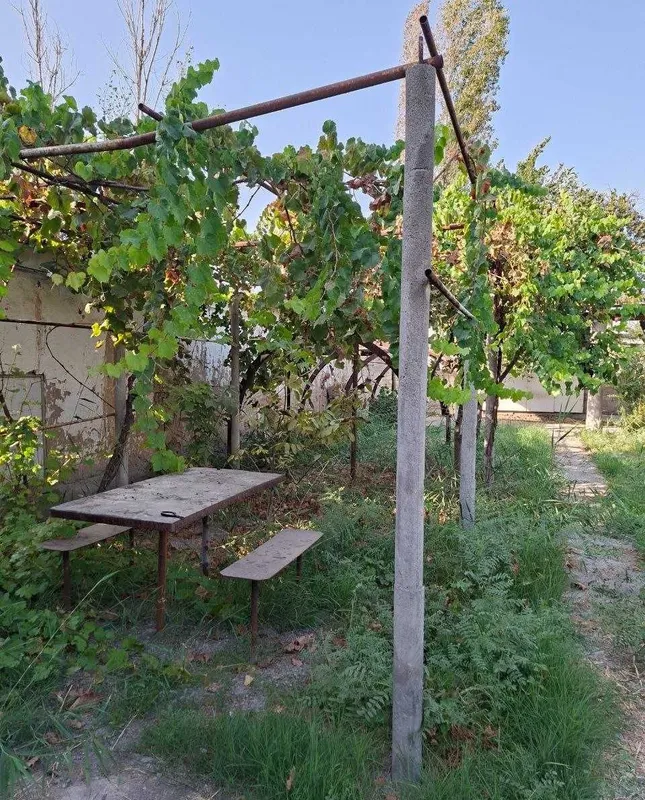 Дача 6 соток, дом 92 м², Зангиата, 14 000 $/сотка 6 Дача 6 соток, дом 92 м², Зангиата, 14 000 $/сотка 6