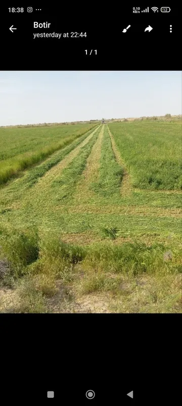 Ishlashi zor kelib koring