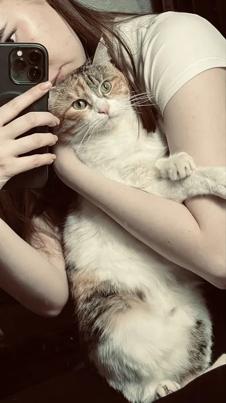 Отдаем кошку в хорошие руки. Желатеьно во двор