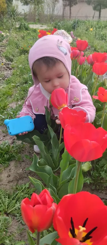 xar xil turdagi xona va xovli gullari bor — фото 4