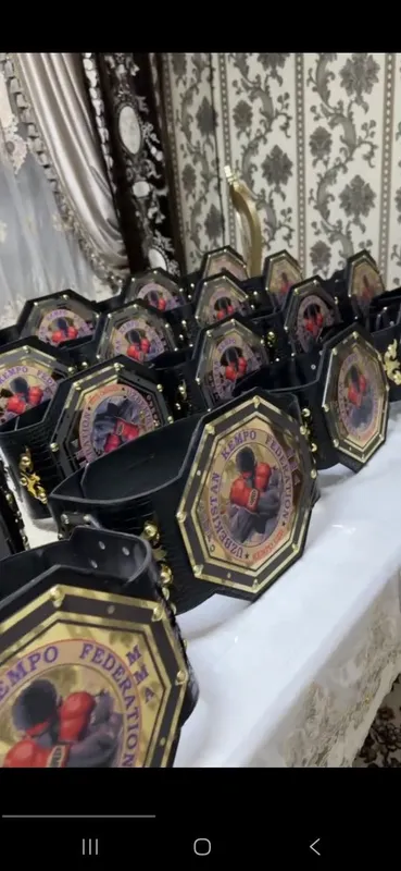 Кубок, Медаль, Чемпионлик камар,Диплом 6 Кубок, Медаль, Чемпионлик камар,Диплом 6