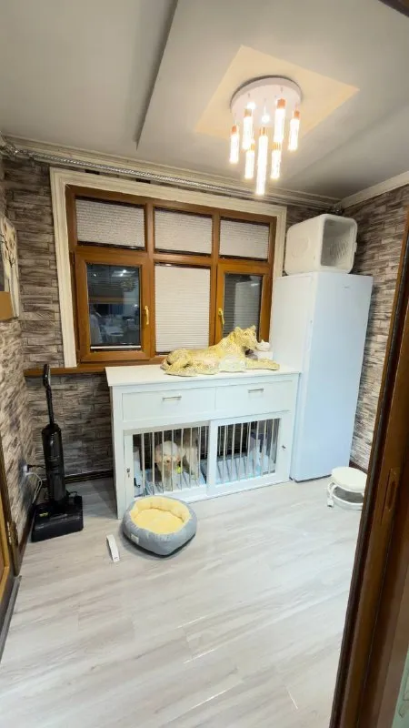 3 xonali kvartira, 85 m2, Mirzo Ulug'bek 7