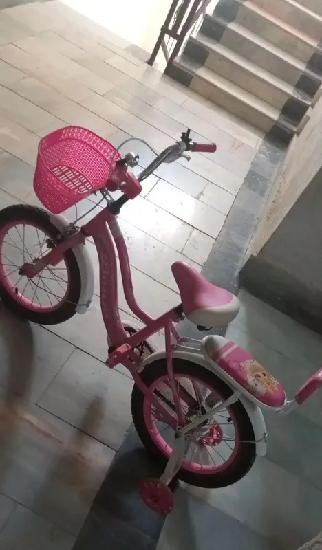velosiped bor yo‘g‘i bir marta haydalgan — фото 9