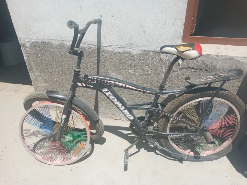 veloseped yil 2023 kam haydalgan