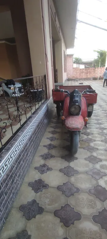 Soz muravey mator mosti zoʻr yurub turubdi