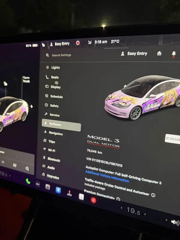 Tesla model 3 Performance 2020 4 Tesla model 3 Performance 2020 4