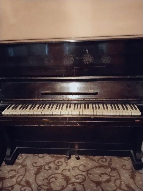 piyanina sotiladi 1