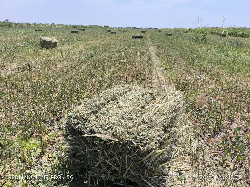 Беда пресс сотилади — фото 2