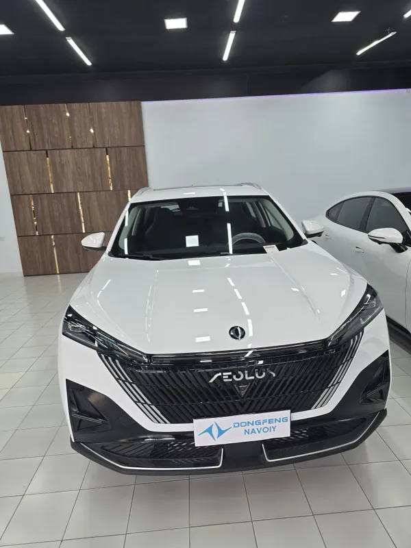 Dongfeng Mage L6