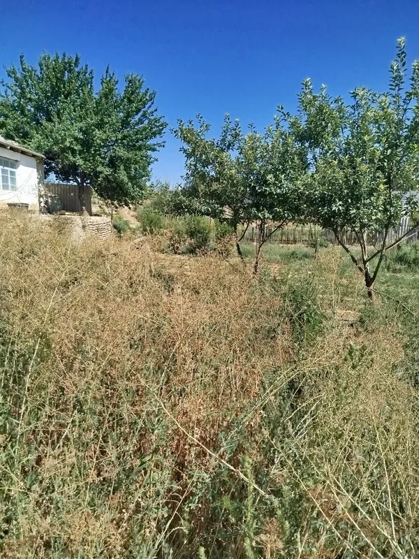 hovli 9 sotik 5 hovli 9 sotik 5