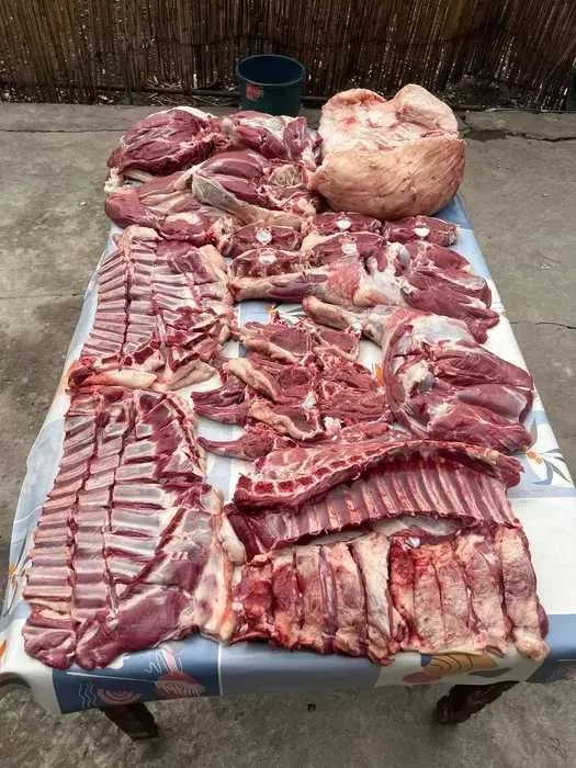 Qassob xizmati shahar bo‘ylab ko‘rsatiladi Qassob xizmati shahar bo‘ylab ko‘rsatiladi