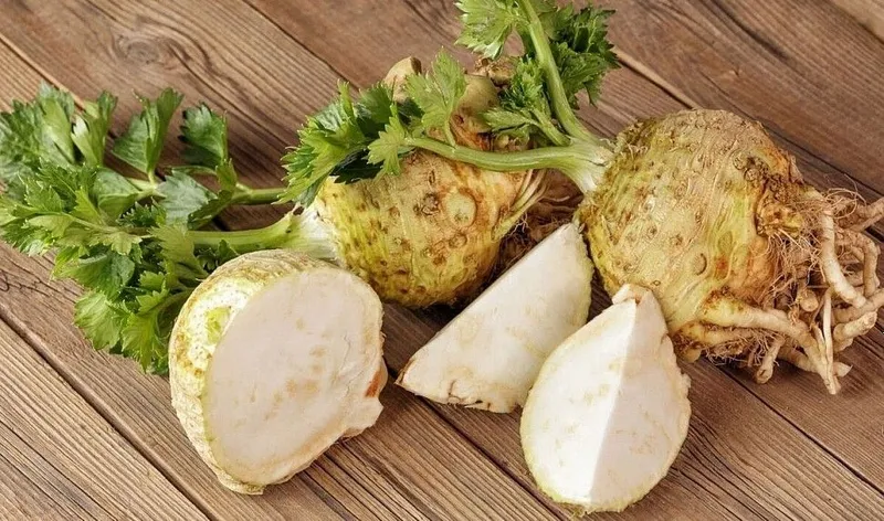 продаётся рассада корневой сельдерей кучати