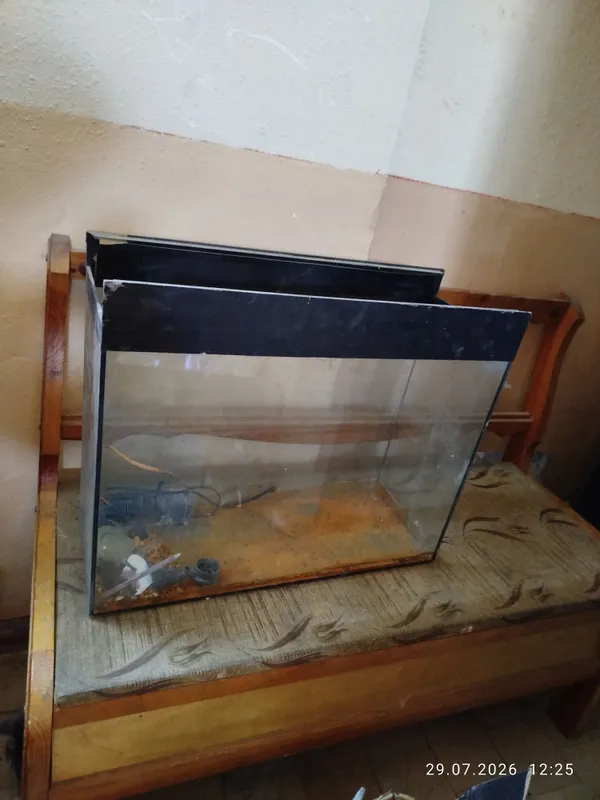 ugalok akvarium oynalar 2