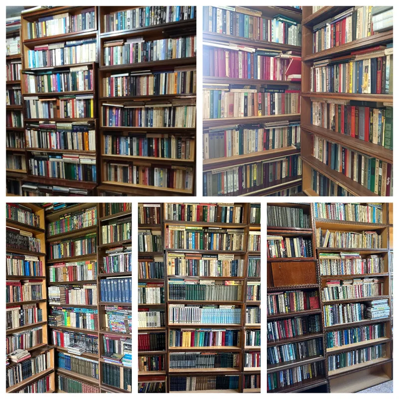 Книги на русском языке. в большом количестве.
