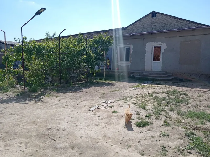 Фарход савхозда 6 сутихли "Дустлик маркет"ни тугрисида жойлашган — фото 4