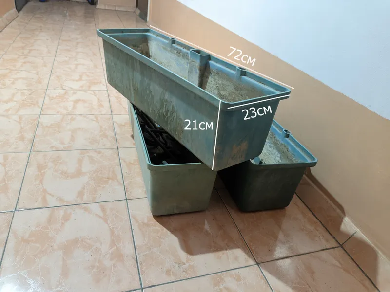 Osma guldon (72 x 21 x 23). 2 Osma guldon (72 x 21 x 23). 2