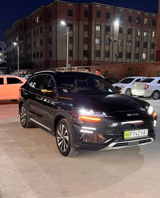 BYD CHempion на заказ 50$ 1 BYD CHempion на заказ 50$ 1