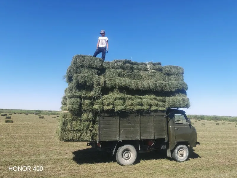 UAZ moshinasi sotiladi holati ideal 3