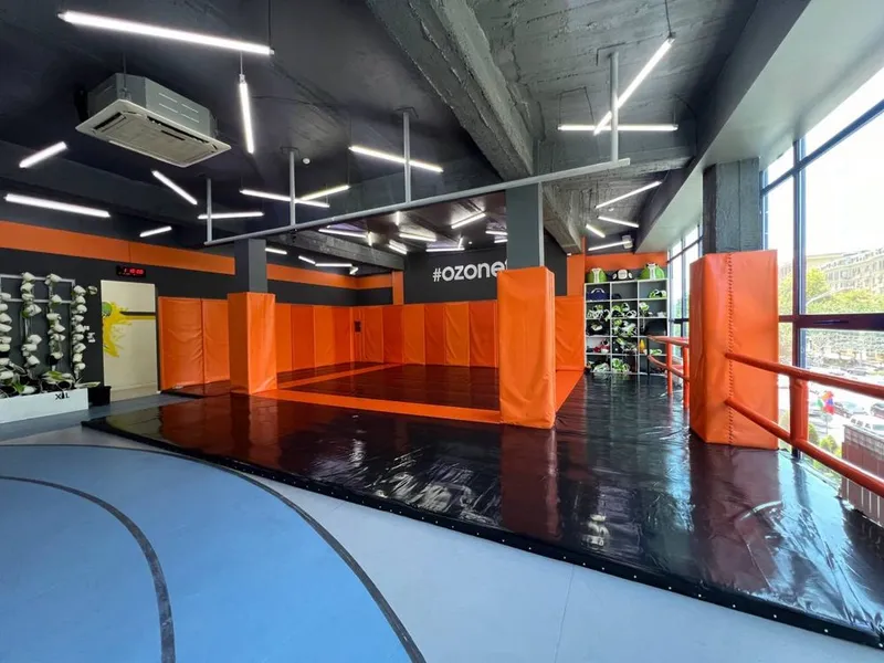 SPORT MAT / TATAMI dayan original, Борцовский ковер, спортивный мат — фото 2