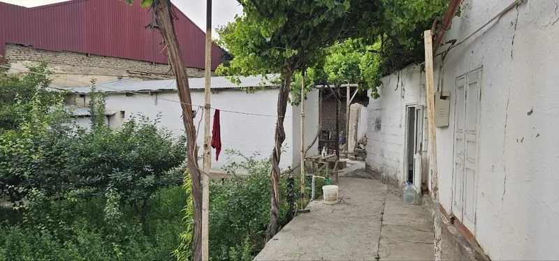 Ҳовли 2,4 суток сотилади срочно пул керак чехова куча — фото 3
