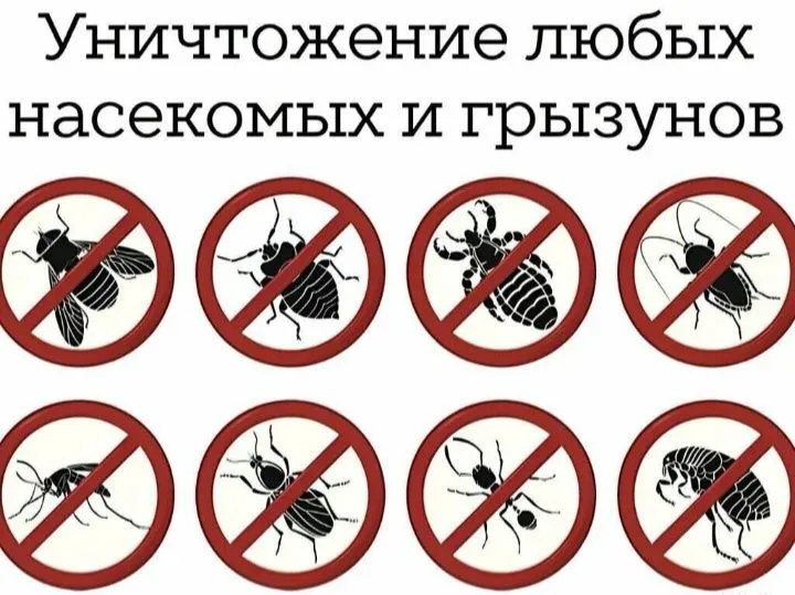 Дезинфекция домов, квартир. — фото 7