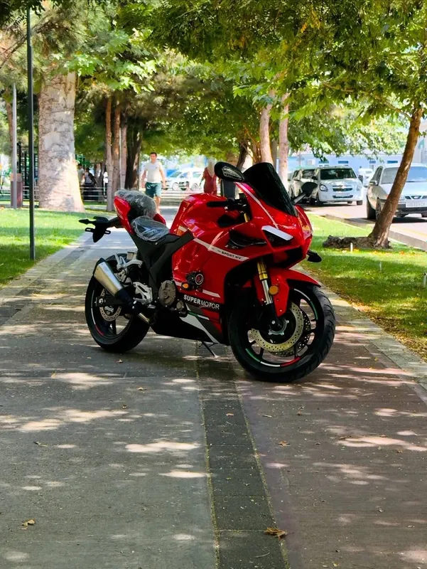 ducati v4 panigale 400cc rep. 6 ducati v4 panigale 400cc rep. 6