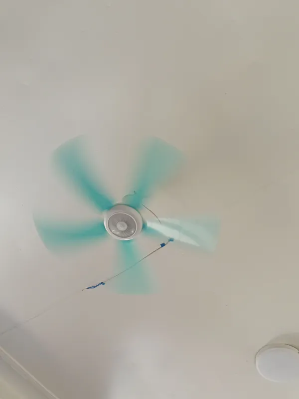 vityator vityator