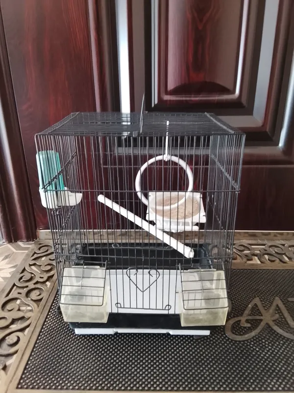 продаётся дом для птичек по хорошему ценам 3
