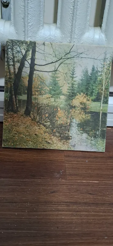 картинка ссср 1981 год 1