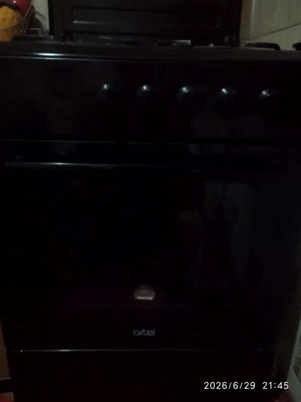 artel 1 artel 1