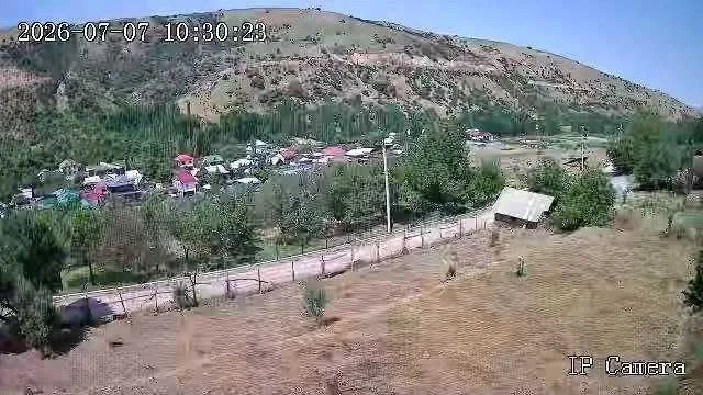 Продам дачу в пригороде Газалкента (поселок Карамазар) 5