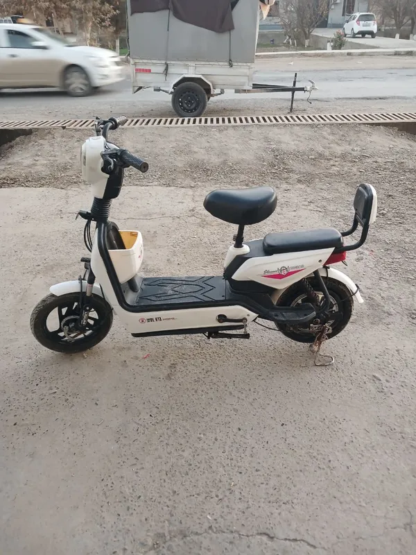 skutr holati alo
