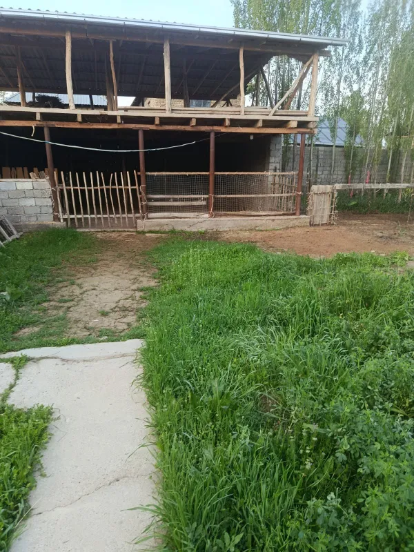 Срочно продается дом — фото 5