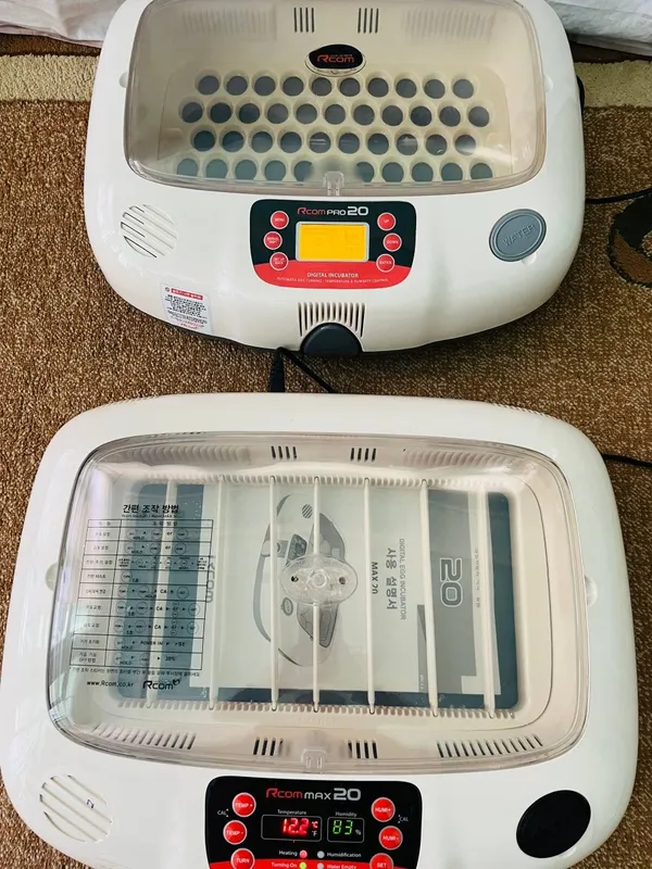 Incubatorlar original koreyski 1