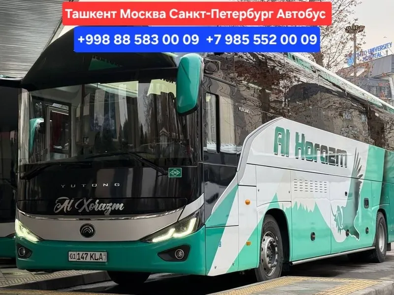 Ташкент Москва автобус
