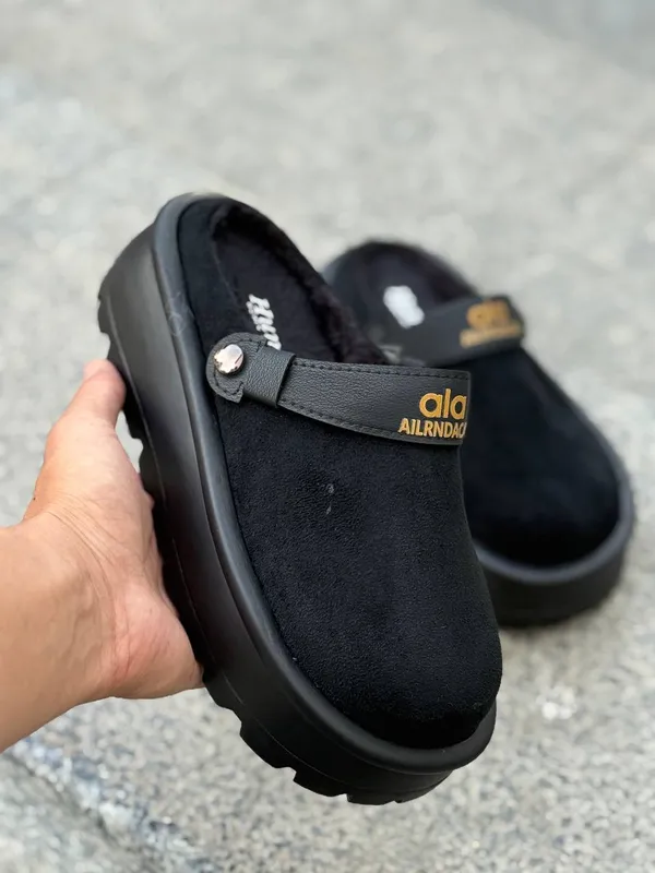 New Collection
