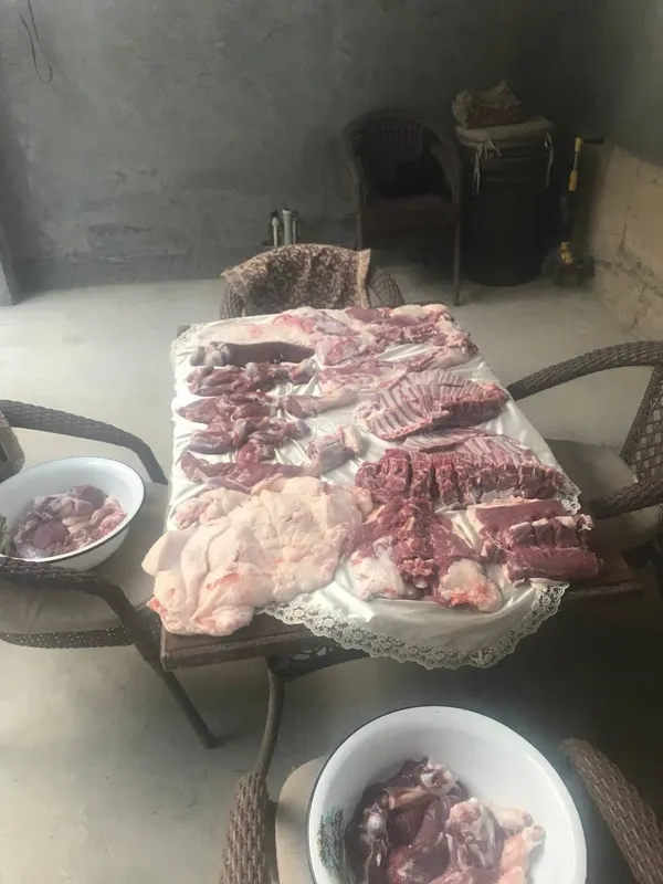 Aqiqa va qurbonlik uchun qoy