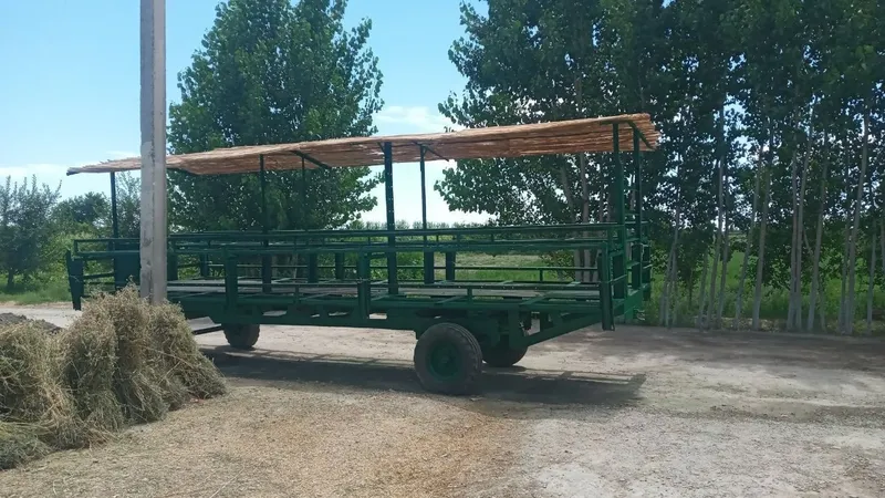 Pirisep sotiladi 2 Pirisep sotiladi 2