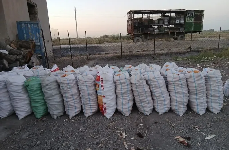 Juhori soʻtasi bilan 6 Juhori soʻtasi bilan 6